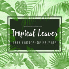 FREE BRUSHES | PHOTOSHOP FREE BRUSHES