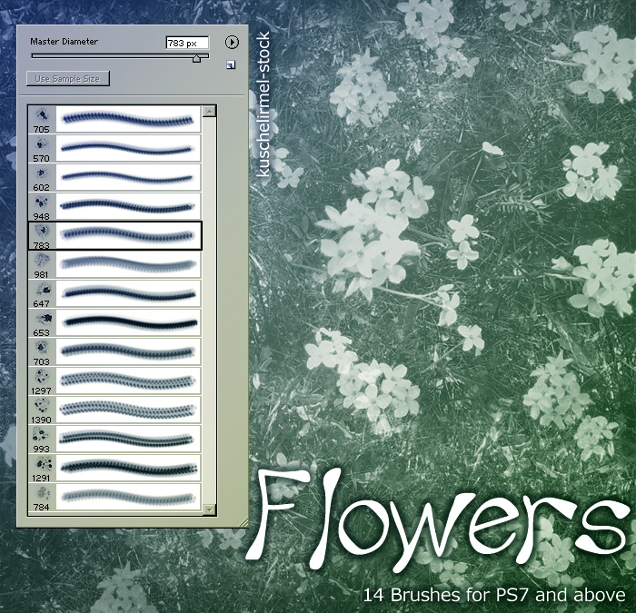 free photoshop flower brushes download