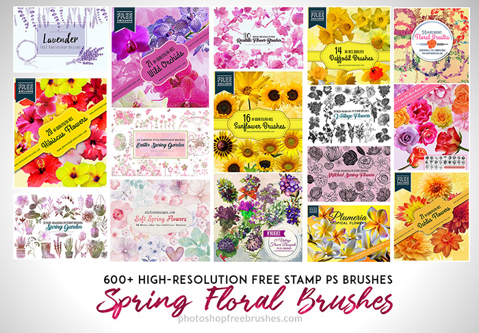 Photoshop - 40 Flower Stamps/ Brushes Graphic by AnnaDigitalStudio ·  Creative Fabrica